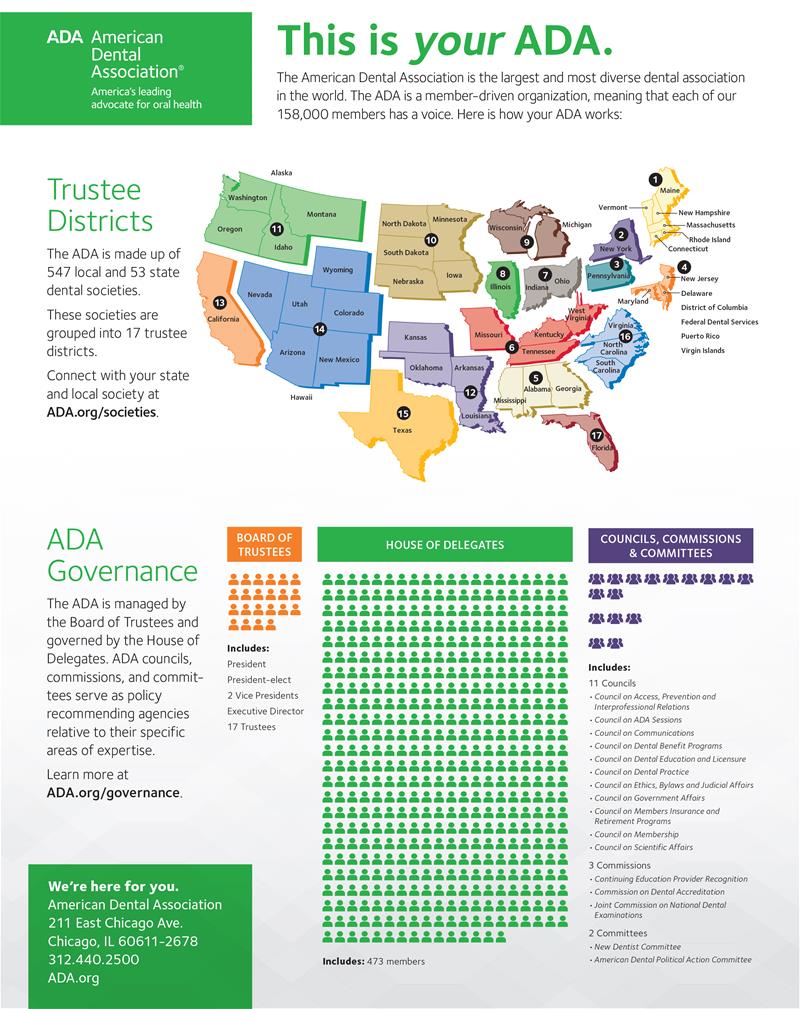 Your ADA Governance USA Graphic